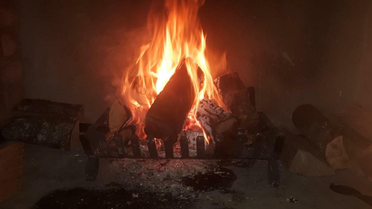 Flametree Guesthouse سويلندام المظهر الخارجي الصورة
