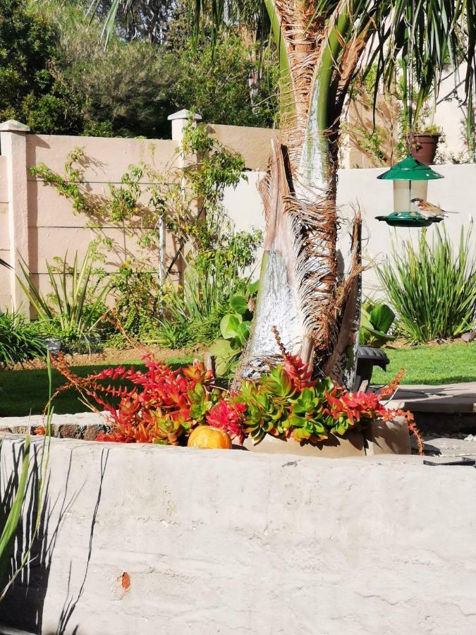 Flametree Guesthouse سويلندام المظهر الخارجي الصورة